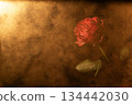 Red rose gold image 134442030