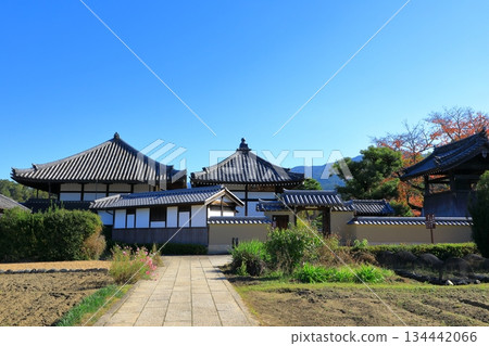 秋季的飛鳥寺 134442066