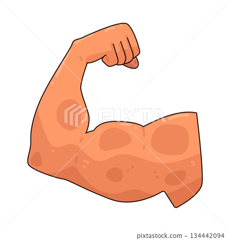 illustration of Flexed Arm illustration of Flexed Arm 134442094