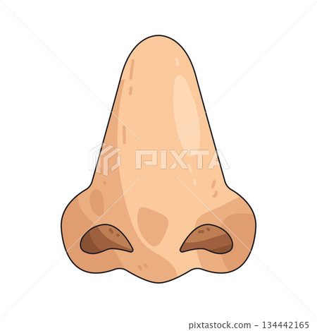 illustration of Nose  134442165