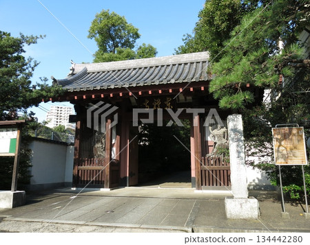 東京都港區高輪的東禪寺(三門) 東京都港區高輪的東禪寺(三門) 134442280