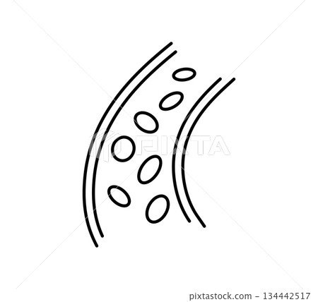 Blood vessel line icon. Human artery and vein symbol. Blood hemoglobin sign. Healthy heart system control. Healthy vessel icon. Vector illustration isolated on white background Blood vessel line icon. Human artery and vein symbol. Blood hemoglobin sign. Healthy heart system control. Healthy vessel icon. Vector illustration isolated on white background 134442517
