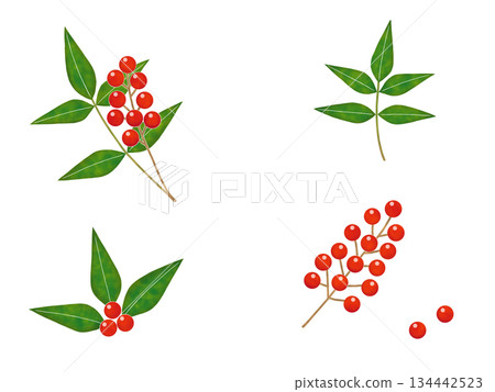 南部天空的紅色果子 134442523