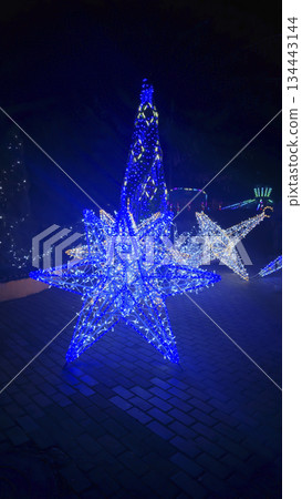 Bright neon signs and garlands Ice skating rink and winter entertainment concept 134443144