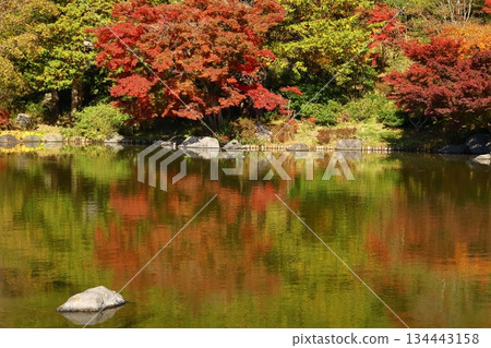 Burning Autumn 134443158