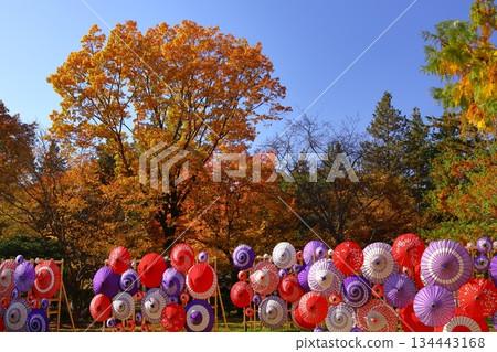 燃燒的秋天 134443168