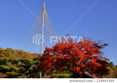 Burning Autumn 134443169