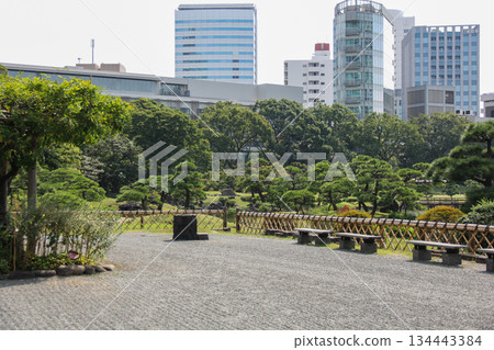 A view of the garden path in the Kyu-Shiba Rikyu Gardens with a view of the skyscrapers of central Tokyo 134443384