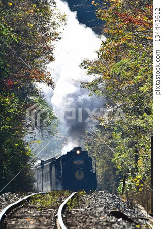 山口號列車在秋色正濃的山口線上穿梭，穿過田代隧道，一路下行至新目。 134443612
