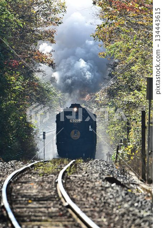 The SL Yamaguchi train, with its beautiful autumn leaves, passes through the Tashiro Tunnel and descends to Shinome. The SL Yamaguchi train, with its beautiful autumn leaves, passes through the Tashiro Tunnel and descends to Shinome. 134443615