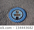 Iron cover drain valve 134443682
