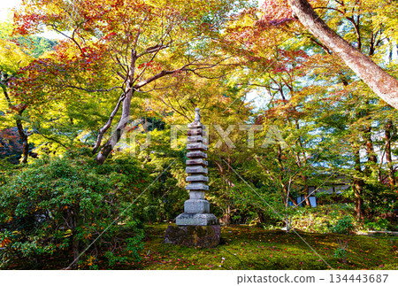 Shishiku Garden at Hogon-in Temple in Kyoto 134443687