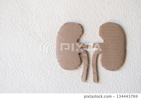 World Kidney Day Awareness Concept World Kidney Day Awareness Concept 134443769