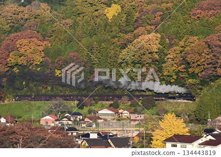 SL Yamaguchi leaves Tsuwano in autumn, surrounded by beautiful autumn leaves 134443819