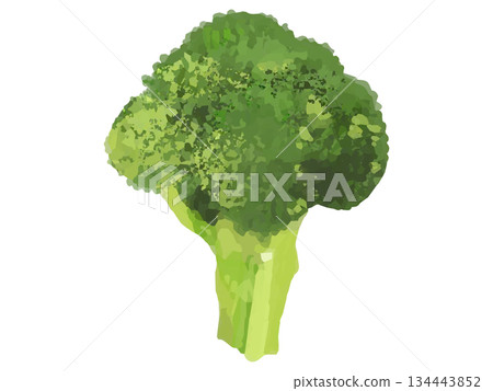 西蘭花小花示意圖(基礎版) 西蘭花小花示意圖(基礎版) 134443852