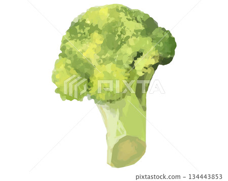 西蘭花小花（淡黃色）示意圖 134443853