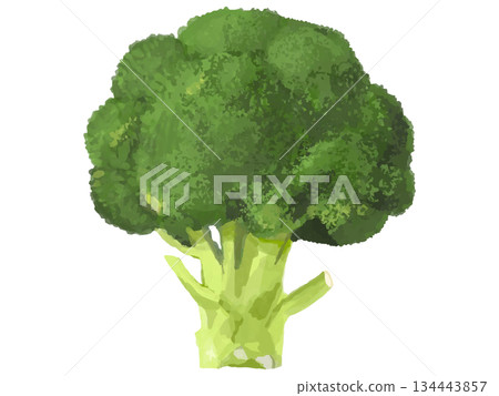 綠色花椰菜全貌示意圖 134443857