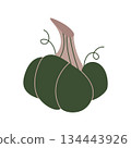 Cute flat vector pumpkin in rich dark green with beige stem. Great for autumn branding, packaging, stickers, posters, and seasonal compositions. Clean illustration for digital and print. 134443926