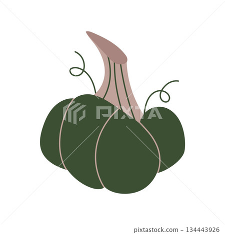 Cute flat vector pumpkin in rich dark green with beige stem. Great for autumn branding, packaging, stickers, posters, and seasonal compositions. Clean illustration for digital and print. 134443926