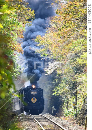 SL Yamaguchi, autumn leaves shining, Sakashinome, skyrolling, smoke 134445008