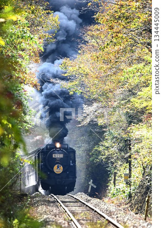 SL Yamaguchi, autumn leaves shining, Sakashinome, skyrolling, smoke 134445009