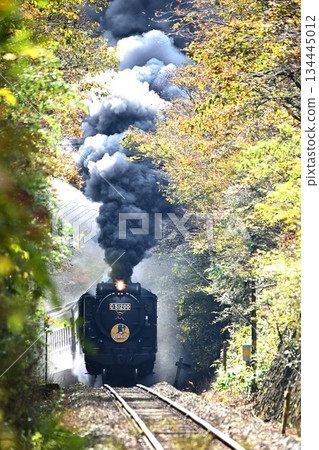 SL Yamaguchi, autumn leaves shining, Sakashinome, skyrolling, smoke SL Yamaguchi, autumn leaves shining, Sakashinome, skyrolling, smoke 134445012