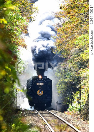 山口勝,秋葉閃耀,逆之目,翻滾的天空,煙霧 山口勝,秋葉閃耀,逆之目,翻滾的天空,煙霧 134445014