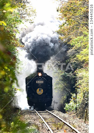 SL Yamaguchi, autumn leaves shining, Sakashinome, skyrolling, smoke 134445016