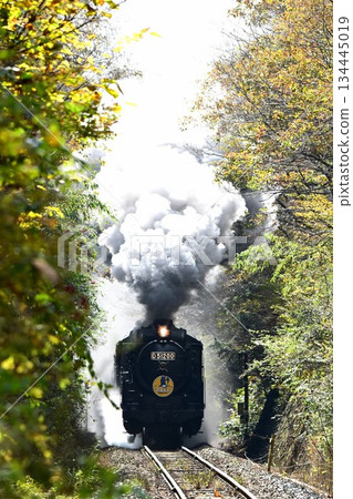 SL Yamaguchi, autumn leaves shining, Sakashinome, skyrolling, smoke 134445019