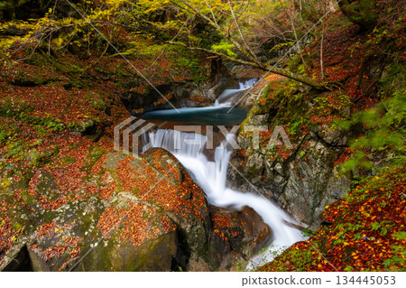 Mitomikawaura, Yamanashi City, Yamanashi Prefecture - Mie Falls with autumn leaves from the hiking trail in Nishizawa Valley, located upstream of the Fuefuki River 134445053