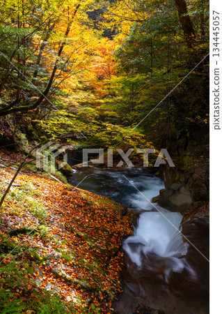 Mitomikawaura, Yamanashi City, Yamanashi Prefecture - Mie Falls with autumn leaves from the hiking trail in Nishizawa Valley, located upstream of the Fuefuki River 134445057