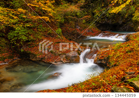 山梨縣山梨市三富川浦 - 位於笛吹川上游的西澤谷健行步道上,可欣賞秋葉映襯下的三重瀑布。 山梨縣山梨市三富川浦 - 位於笛吹川上游的西澤谷健行步道上,可欣賞秋葉映襯下的三重瀑布。 134445059