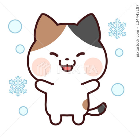 三花貓在雪地裡很開心 三花貓在雪地裡很開心 134445187