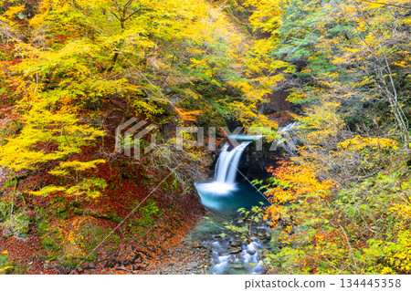 Ryujin Falls with autumn leaves from the hiking trail in Nishizawa Valley, located upstream of the Fuefuki River, Mitomikawaura, Yamanashi City, Yamanashi Prefecture Ryujin Falls with autumn leaves from the hiking trail in Nishizawa Valley, located upstream of the Fuefuki River, Mitomikawaura, Yamanashi City, Yamanashi Prefecture 134445358