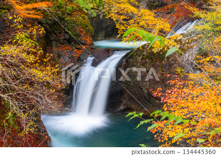 Ryujin Falls with autumn leaves from the hiking trail in Nishizawa Valley, located upstream of the Fuefuki River, Mitomikawaura, Yamanashi City, Yamanashi Prefecture Ryujin Falls with autumn leaves from the hiking trail in Nishizawa Valley, located upstream of the Fuefuki River, Mitomikawaura, Yamanashi City, Yamanashi Prefecture 134445360