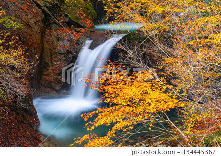 秋葉映照下的龍神瀑布，位於山梨縣山梨市三富川浦市笛吹川上游的西澤谷健行步道上。 134445362