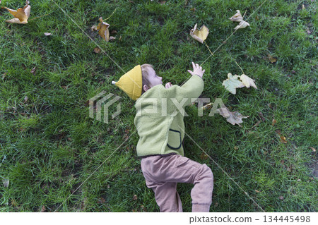 Toddler Child Lying and Smiling on Green Grass in Park 134445498