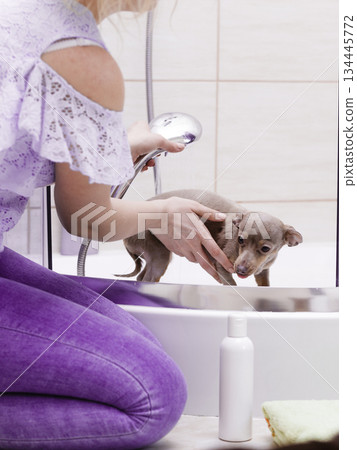 Woman showering her dog Woman showering her dog 134445772