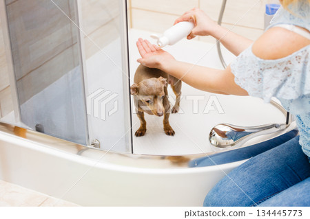Woman showering her dog Woman showering her dog 134445773