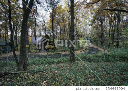 Beautiful autumn scenery seen through the window Beautiful autumn scenery seen through the window 134445904