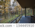 透過窗戶看到的秋日美景。 134445910