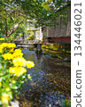 River and flowers in Samegai-juku 134446021
