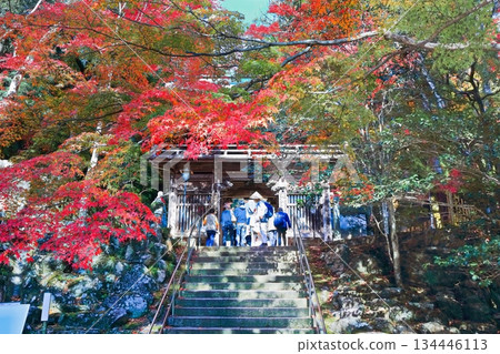 【香川縣】四國巡禮第88座寺廟－大久保寺，秋色迷人 134446113