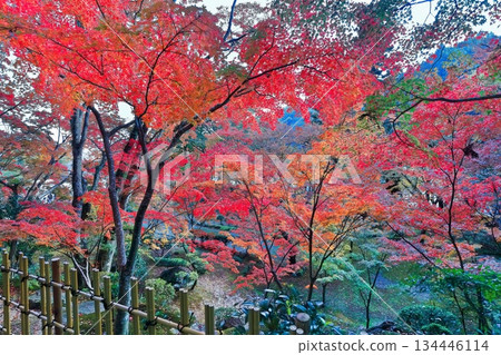 【香川縣】四國巡禮第88座寺廟－大久保寺，秋色迷人 134446114