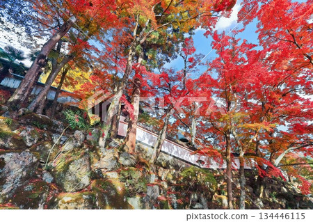 【香川縣】四國巡禮第88座寺廟－大久保寺，秋色迷人 134446115