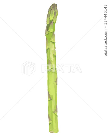 Yellow-green asparagus illustration Yellow-green asparagus illustration 134446143