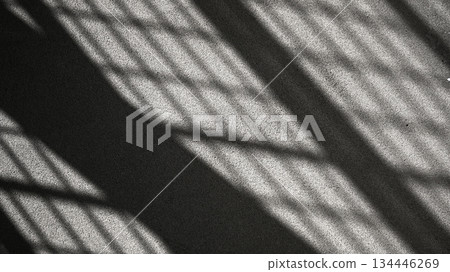 shadow on the asphalt 134446269