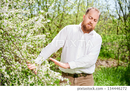 Man allergic suffering from seasonal allergy at spring in blossoming garden at springtime. Bearded man with glasses pushing away branch of blooming tree with flowers. Spring allergy concept Man allergic suffering from seasonal allergy at spring in blossoming garden at springtime. Bearded man with glasses pushing away branch of blooming tree with flowers. Spring allergy concept 134446272