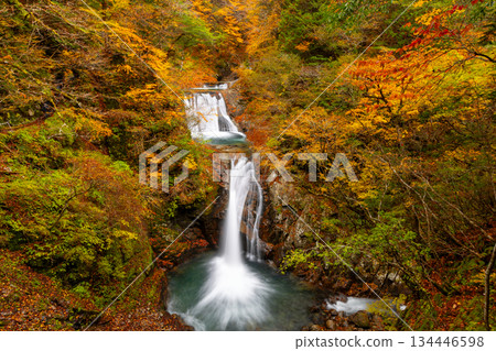 從西澤谷健行步道上眺望秋色迷人的七津釜五段瀑布，位於山梨縣山梨市三富川浦市笛吹川上游。 134446598