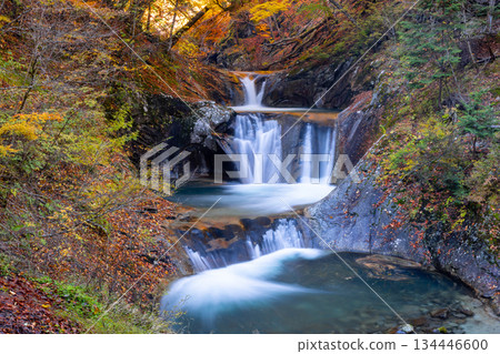 Nanatsugama Godan Falls with autumn foliage from the hiking trail in Nishizawa Valley, located upstream of the Fuefuki River, Mitomikawaura, Yamanashi City, Yamanashi Prefecture 134446600